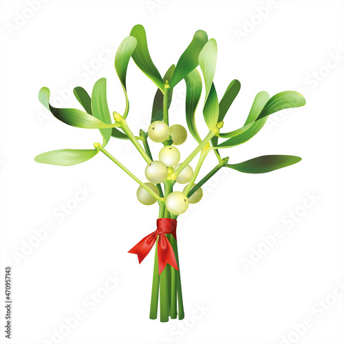 Small mistletoe bouquet isolated on white. Floral Christmas decoration. Vector illustration.