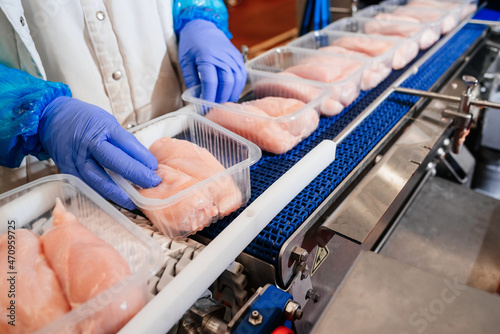 People working at a Chicken fillet production line.Group of workers working chicken factory,food processing plant concepts.Meat processing,food industry.Packing of meat slices in boxes ,conveyor belt.