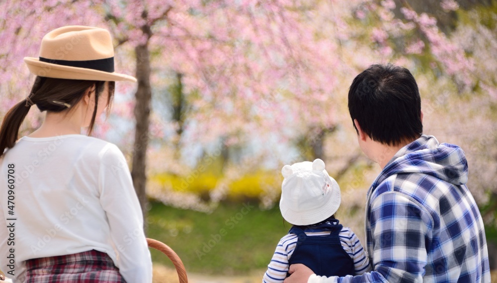 春・桜・ピクニックのファミリィー 春・桜・ピクニックのファミリィー