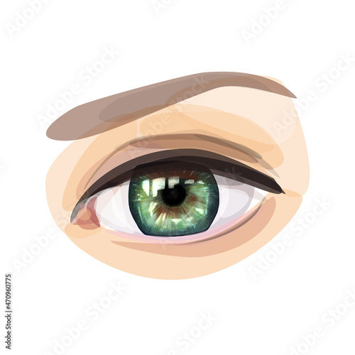 Green eye isolated on white background. Vector illustration eps10