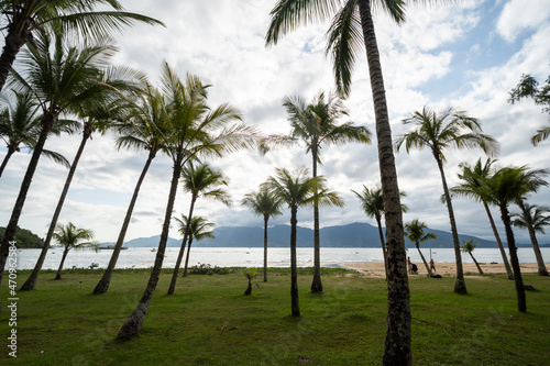 Beautiful view to coconut palm trees on tropical island beach