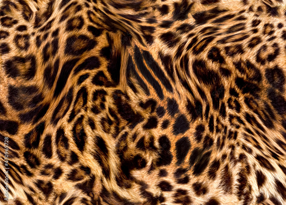 Fototapeta premium Seamless leopard texture, leopard fur