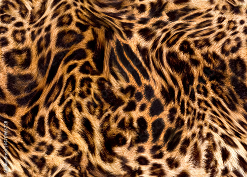 Seamless leopard texture, leopard fur