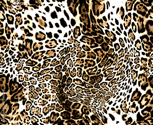 Seamless leopard texture  leopard fur