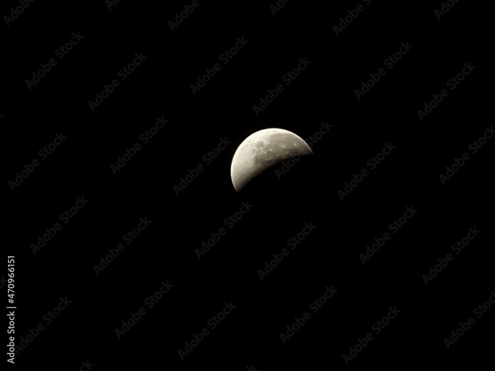 moon moon