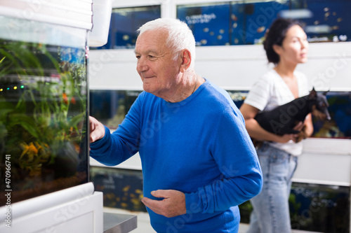 Positive mature man chooses aquarium fish in a pet shop Free Download Positive mature man chooses aquarium fish in a pet shop - GFXLoad