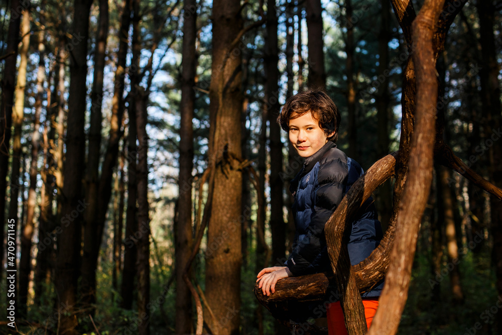 A smiling boy leans against a tree branch in golden forest A smiling boy leans against a tree branch in golden forest