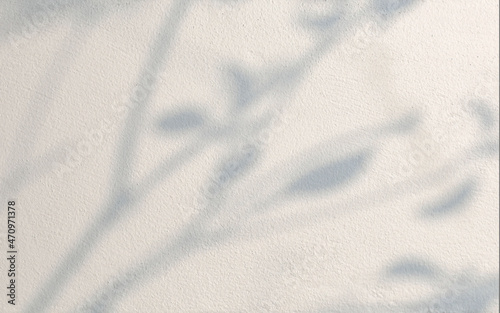 Wallpaper Mural Gray shadow of the leaves on cement wall. Abstract nature concept background. Torontodigital.ca