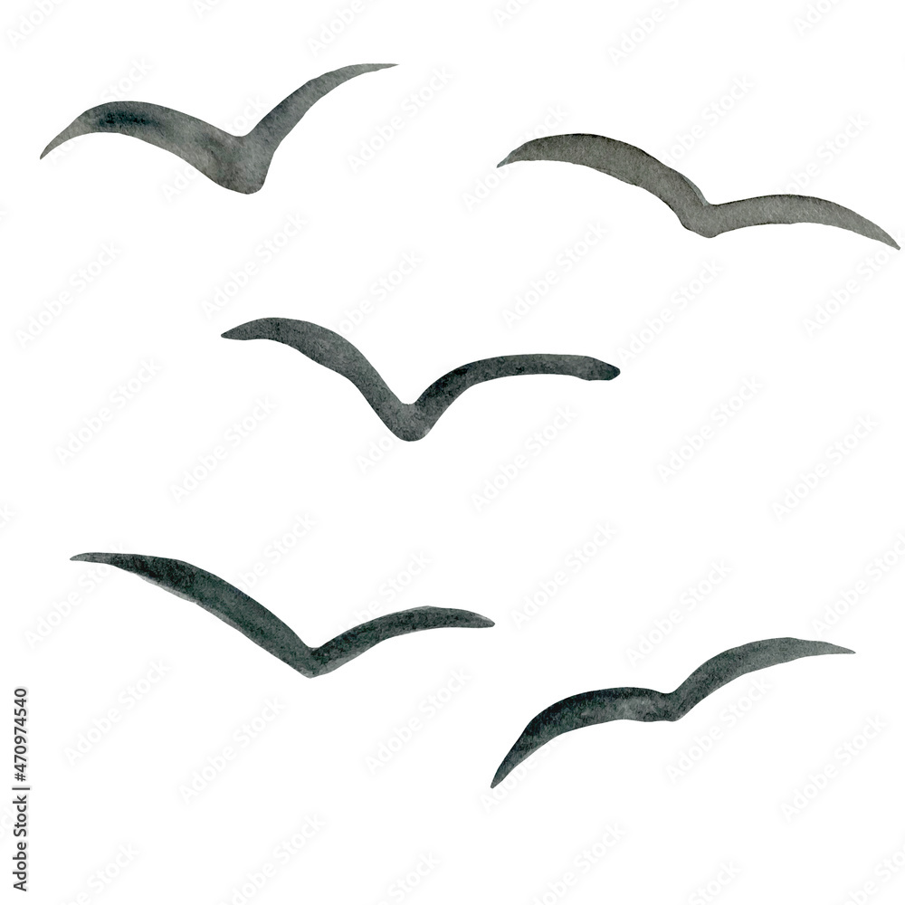 Watercolor flying birds silhouette. Seagull bird symbol and icon on white Watercolor flying birds silhouette. Seagull bird symbol and icon on white