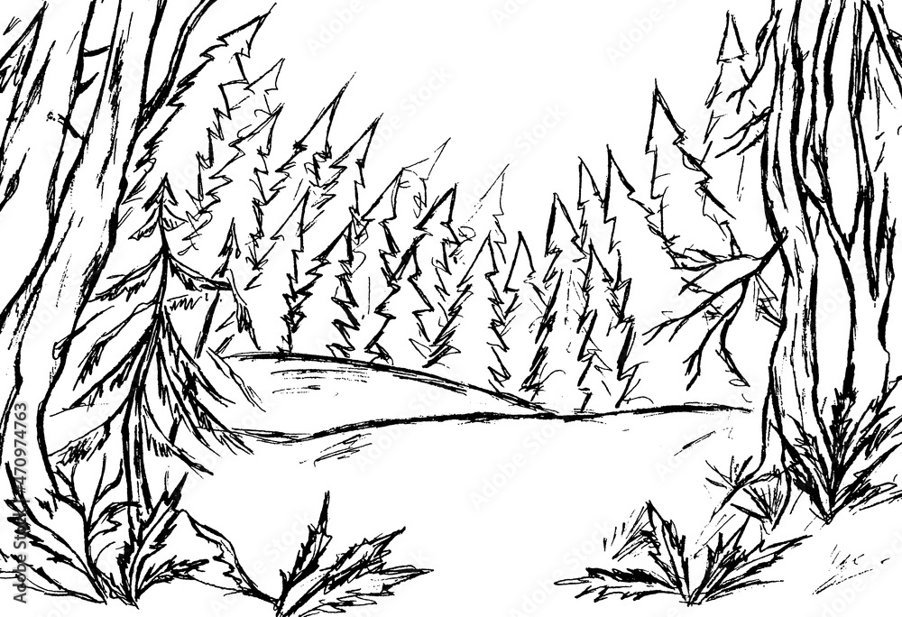 Fototapeta premium Black outlines of trees and firs in the forest on a white background