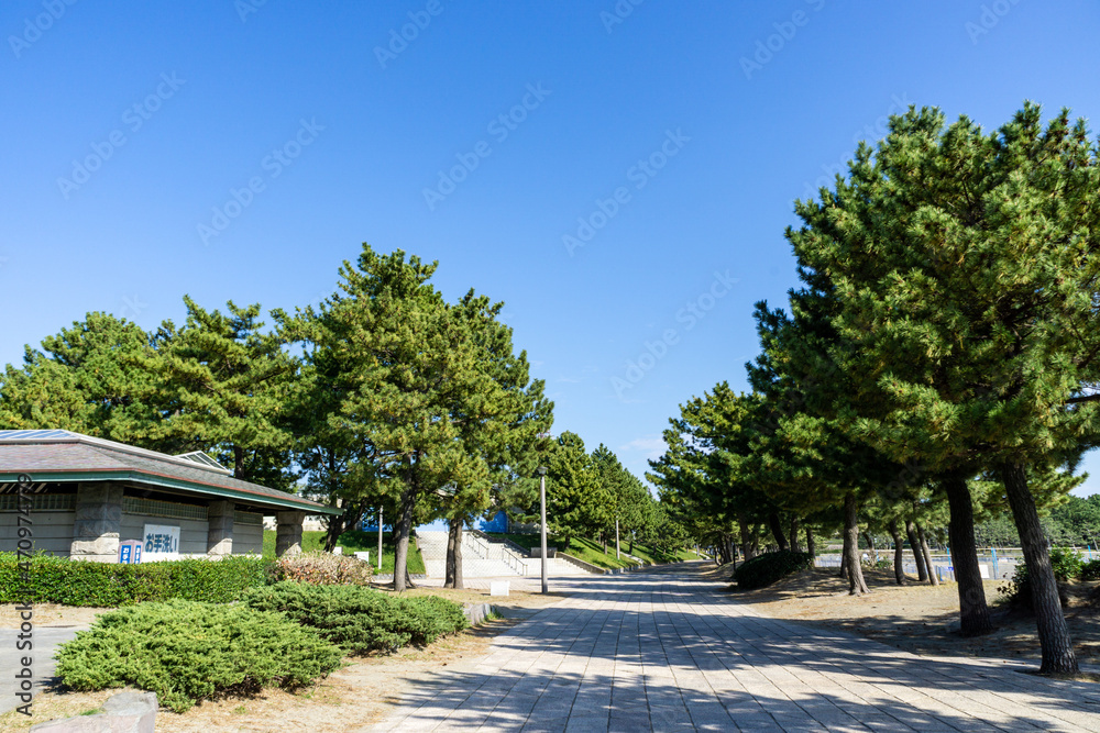 神奈川県横浜市金沢区の海の公園 神奈川県横浜市金沢区の海の公園