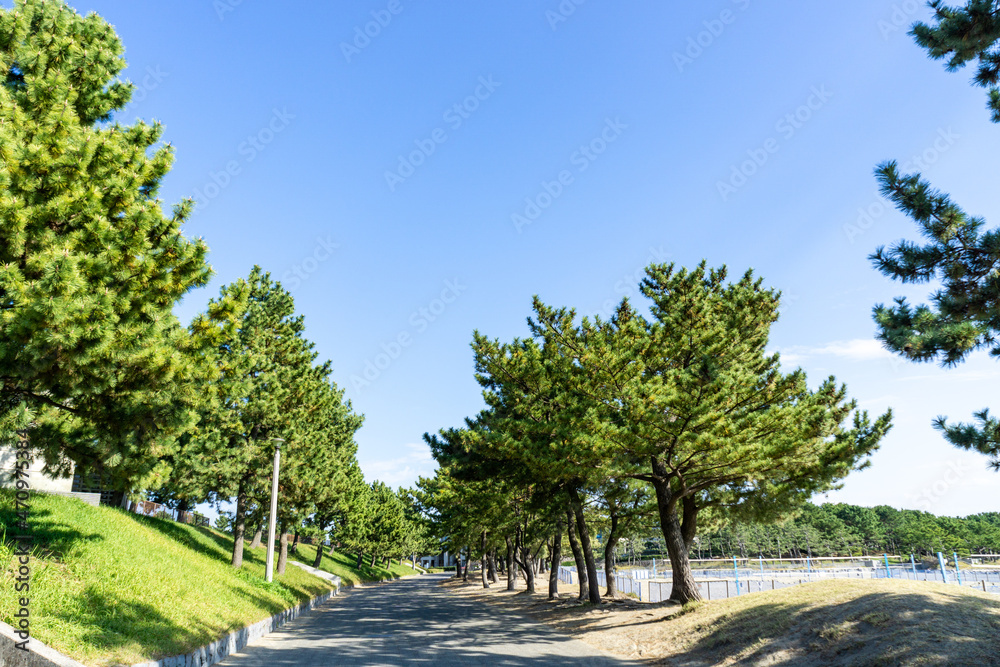 神奈川県横浜市金沢区の海の公園