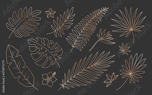 Tropical leaf flower plant luxury gold line set. Exotic boho flora print pattern elegant expensive style. Element spa site store sticker invitation postcard pattern fabric jungle boho modern isolated