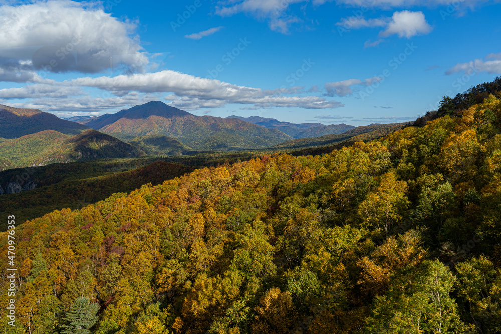 Furano city area and autumn leaves