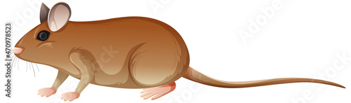 Grasshopper mouse in cartoon style isolated on white background