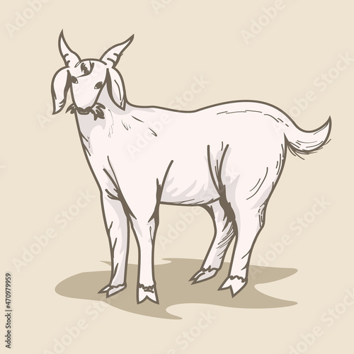 Vector illustration of a sacrificial goat standing while eating grass for Eid al-Adha ornaments and banners