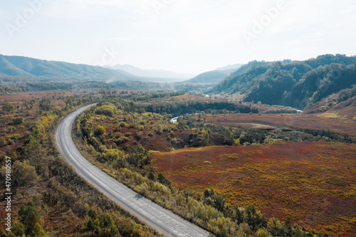 Mountain road and winding river in mountains gorge, autumn landscape, red leaves, aerial drone view