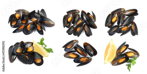 Set with tasty cooked mussels on white background, top view. Banner design