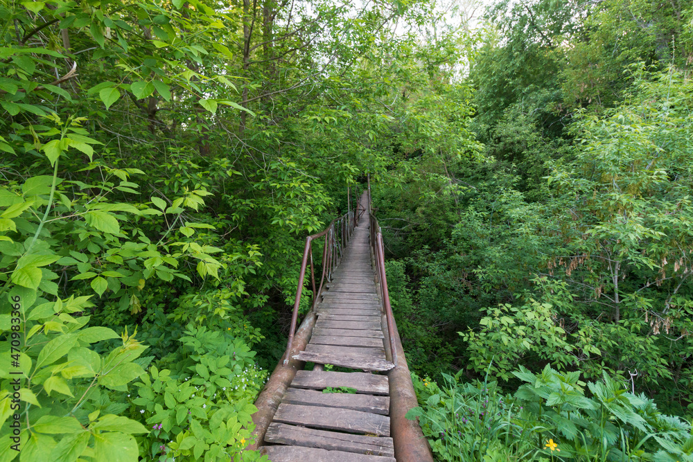 a wooden bridge over a thicket of bushes and forests, an old village bridge across a ravine