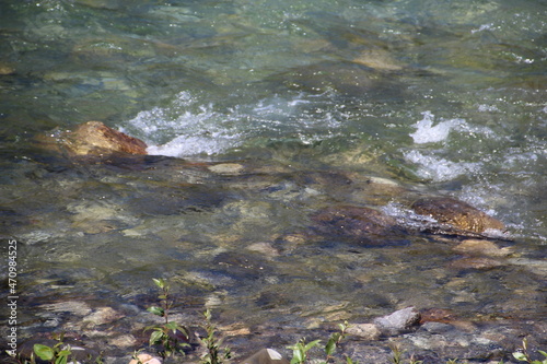 small river in the forest