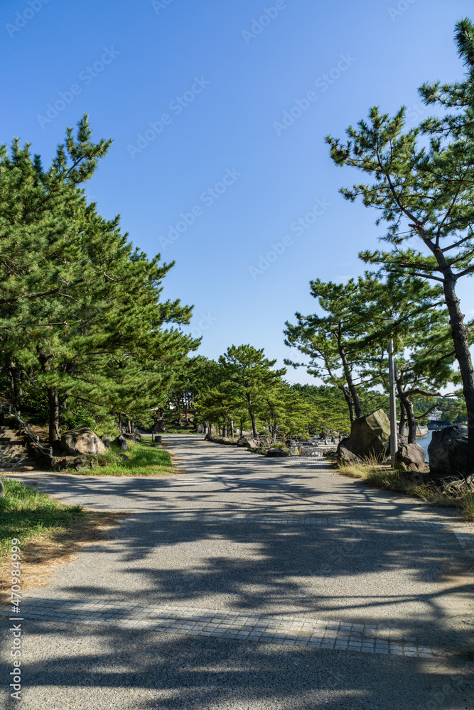 神奈川県横浜市金沢区の海の公園 神奈川県横浜市金沢区の海の公園