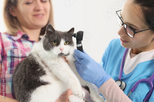 Owner woman holding her cat pet on hands and veterinarian check ear with special tool