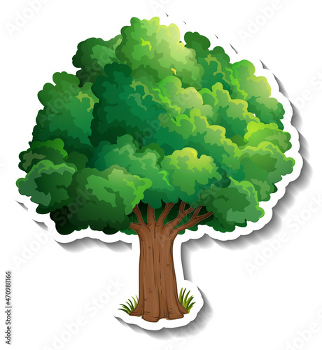 Tree sticker on white background