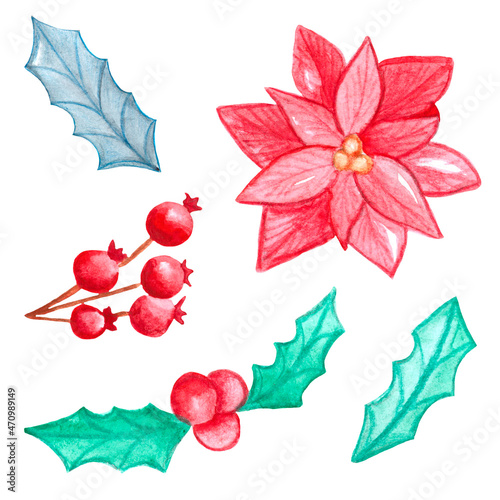 poinsettia, holly, wild rose, set of cute watercolor pictures, freehand drawing for new year and christmas, white background