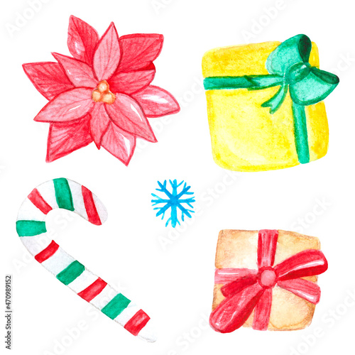 poinsettia, holly, wild rose, set of cute watercolor pictures, freehand drawing for new year and christmas, white background