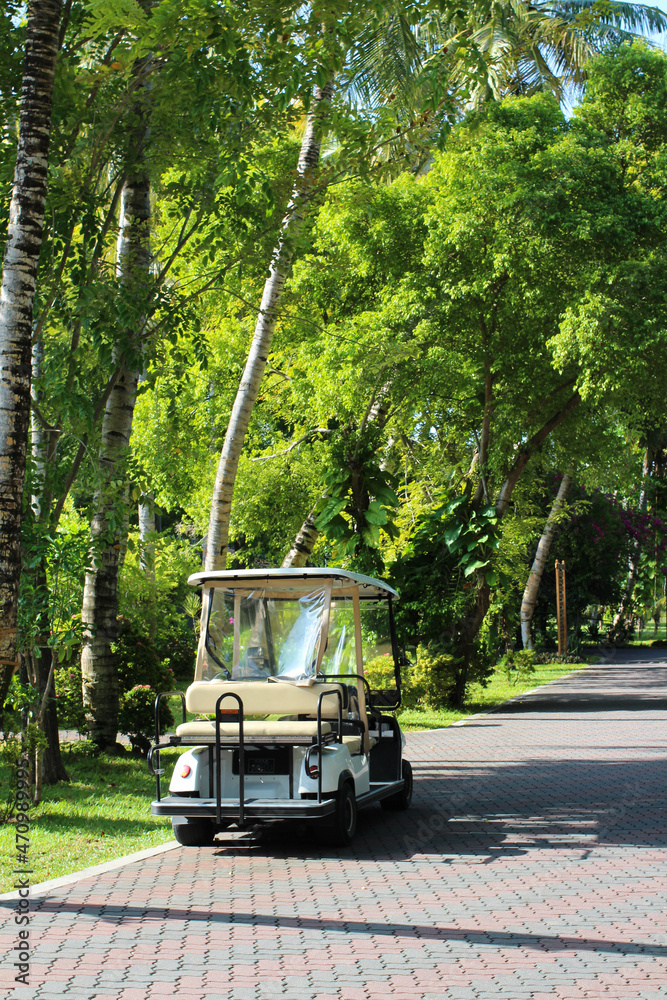 Electric car for moving around the island on a cobblestone road in the shade of spreading trees and shrubs in the Maldives..