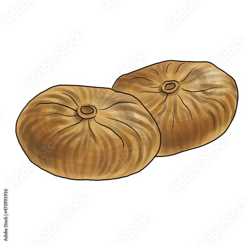 drawing dried figs, dried fruits isolated at white background, hand drawn illustration