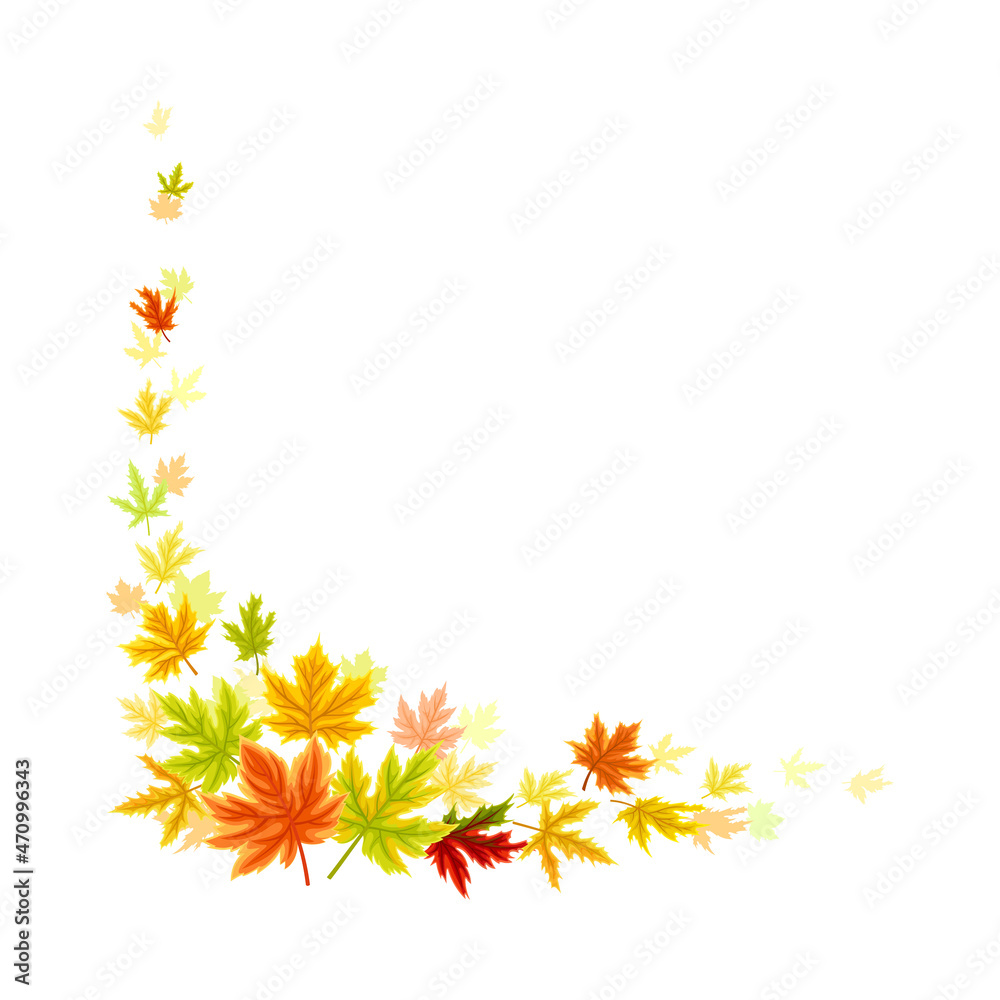 Maple Palmate Leaves of Bright Autumn Colour Arranged in Decorative Border Line Vector Illustration Maple Palmate Leaves of Bright Autumn Colour Arranged in Decorative Border Line Vector Illustration