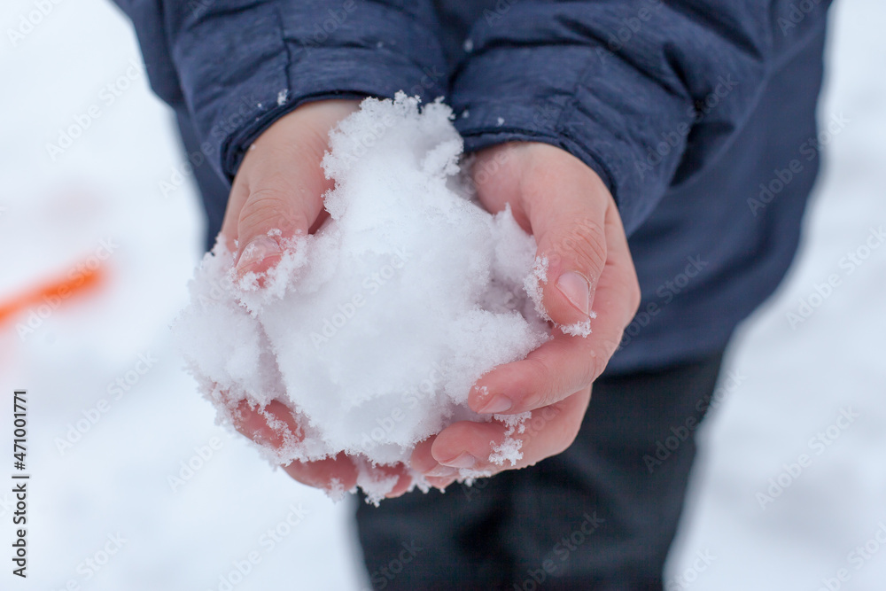 snow in children's hands on a white background. winter outdoor games snow in children's hands on a white background. winter outdoor games