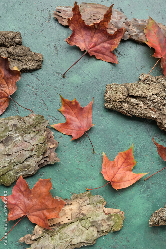 Autumn maple leaves and tree bark on color background - obrazy, fototapety, plakaty 