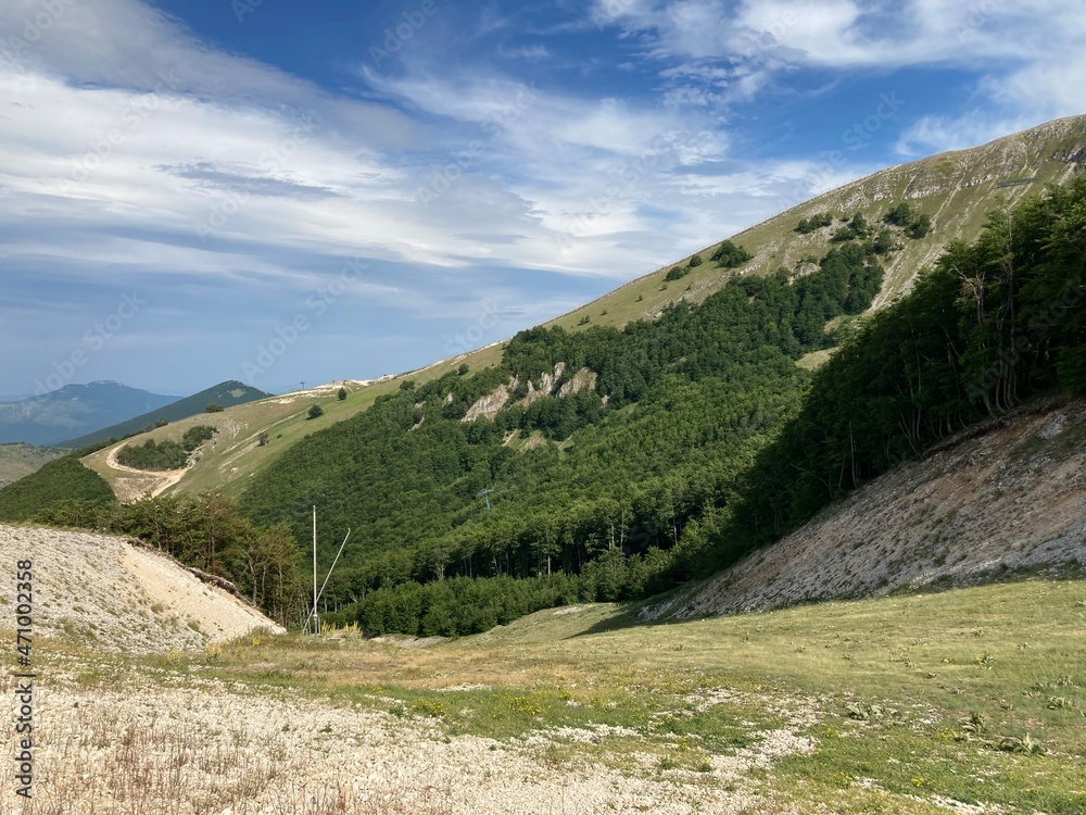 Naklejka premium viaggi