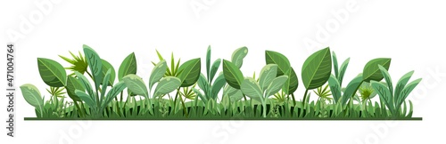 Wallpaper Mural Tropical herbs and shrubs. Jungle meadow. Shoots of palm trees and nice summer weather. Isolated on white background. Funny cartoon style. Green countryside landscape. Vector. Torontodigital.ca