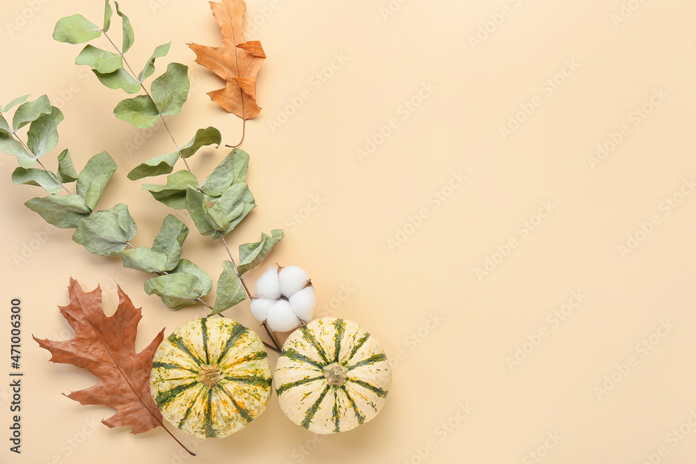 Autumn composition with cotton flower and pumpkins on beige background - obrazy, fototapety, plakaty 