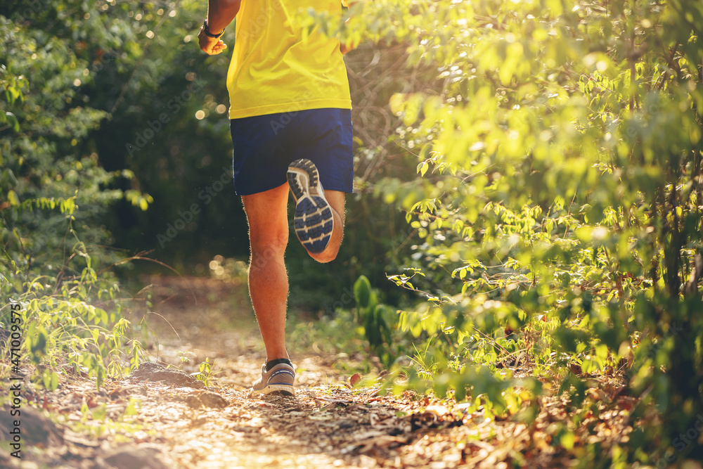 Young man runner running trail in to a wild green forest during summer on forest path. Back view action with sunlight. Young man runner running trail in to a wild green forest during summer on forest path. Back view action with sunlight.