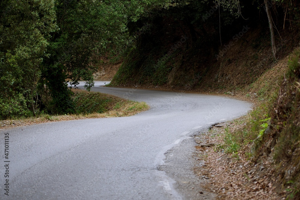 Narrow road in the middle of the mountain surrounded by trees that crosses a forest Narrow road in the middle of the mountain surrounded by trees that crosses a forest