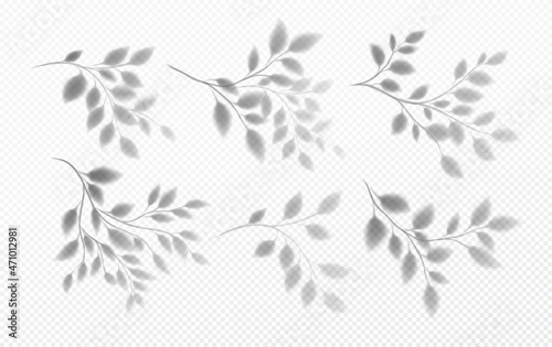 Set of Realistic transparent shadow of a tree branch with leaves isolated on a transparent background. Vector illustration