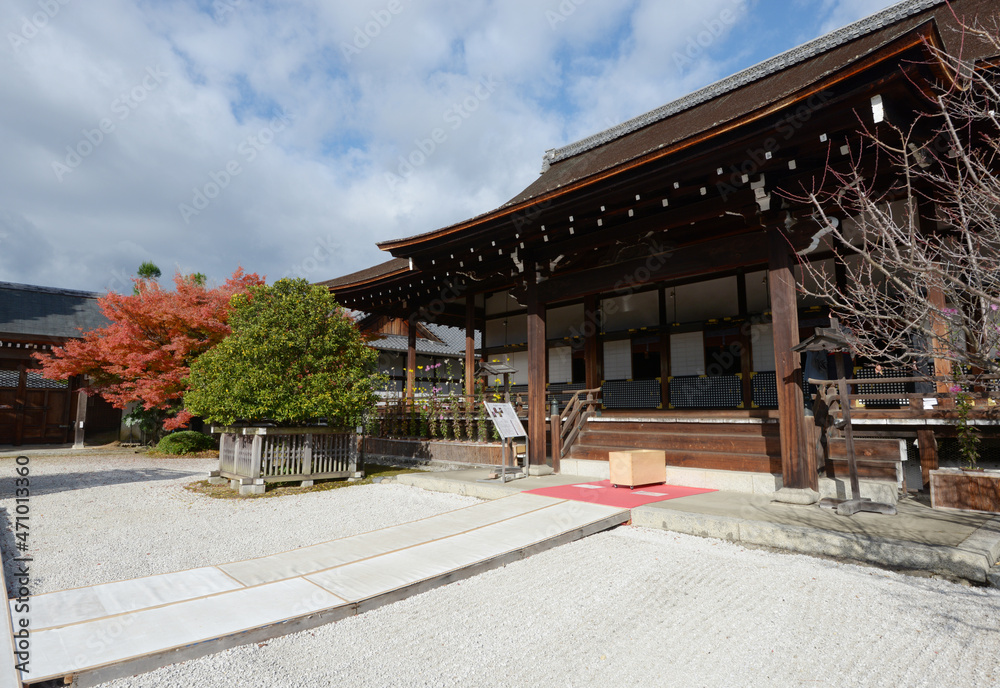 秋の大覚寺 宸殿の橘と紅葉 京都市右京区嵯峨 秋の大覚寺 宸殿の橘と紅葉 京都市右京区嵯峨