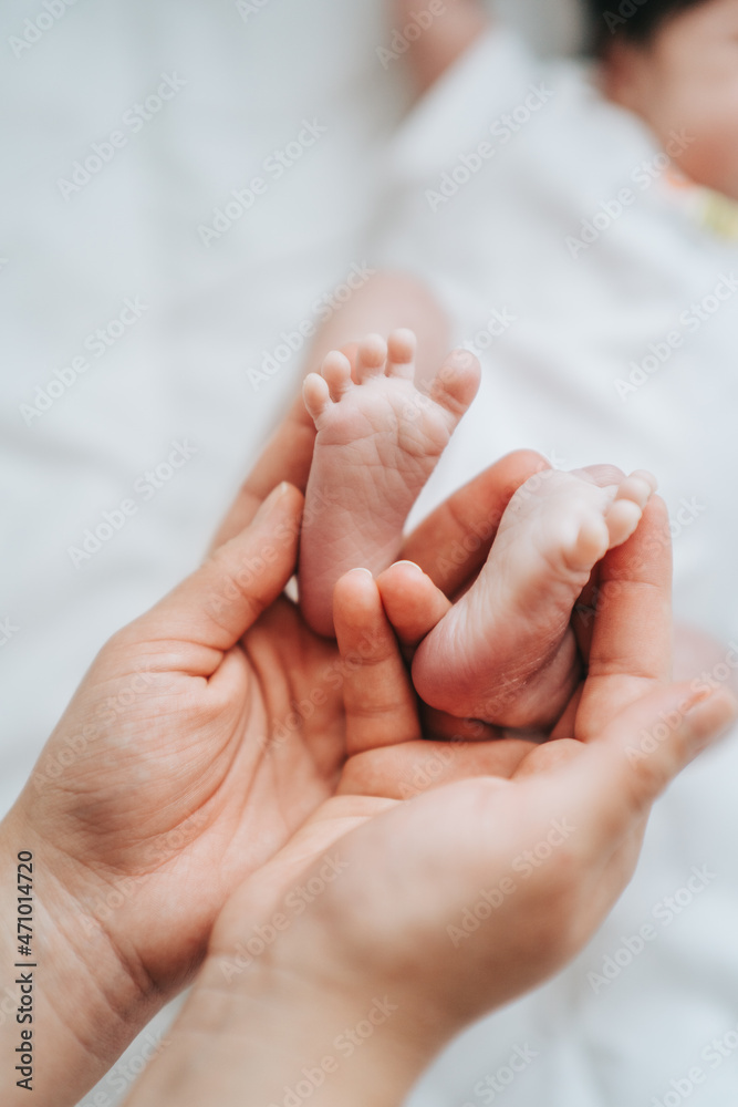 Baby feet in mother hands. Tiny Newborn Baby feet on female hands close up. Mom and her child. Care, Happy Family concept. Baby feet in mother hands. Tiny Newborn Baby feet on female hands close up. Mom and her child. Care, Happy Family concept.