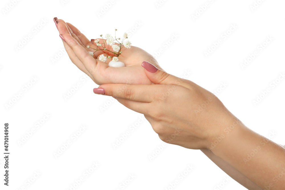 Beautiful female hands with cream isolated on white background Beautiful female hands with cream isolated on white background