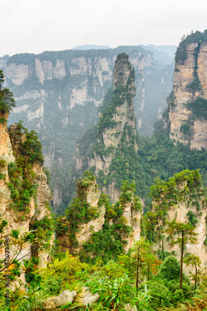 Fototapeta premium Quartz sandstone pillars (Avatar Mountains)