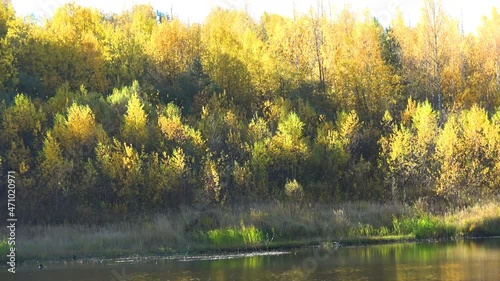 Wallpaper Mural Autumn in a dolomite quarry Torontodigital.ca