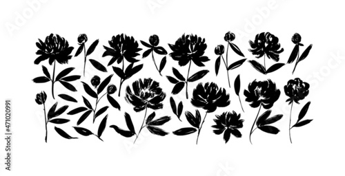 Spring black flowers hand drawn vector set. Stencil botanical silhouettes. Brush painted peonies and anemones. Hand drawn paint flowers on stems with leaves and buds. Grunge style black blossom.