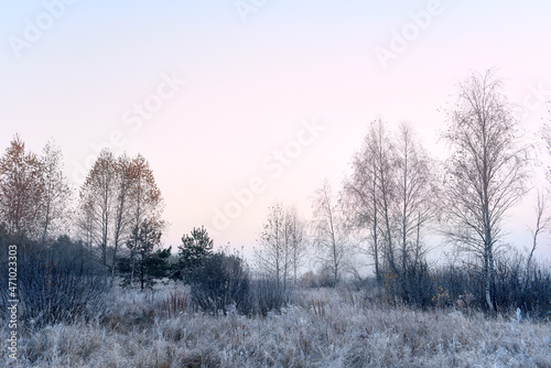 The grass is covered with white frost in the early morning. The shining of the sun in the fog. The transition from autumn to winter. Selective soft focus. 