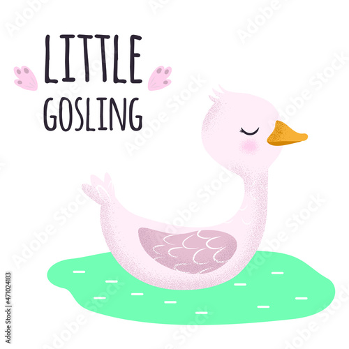 Fototapeta Naklejka Na Ścianę i Meble -  White and pink Goose. Cute vector illustration in simple hand-drawn cartoon style. Cute cartoon ducks. Character bird with texture