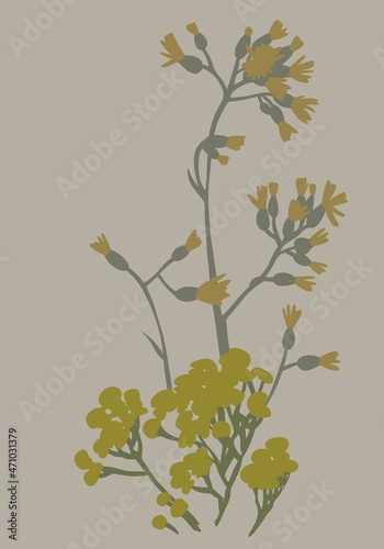 Cute yellow flowers on the pastel background.