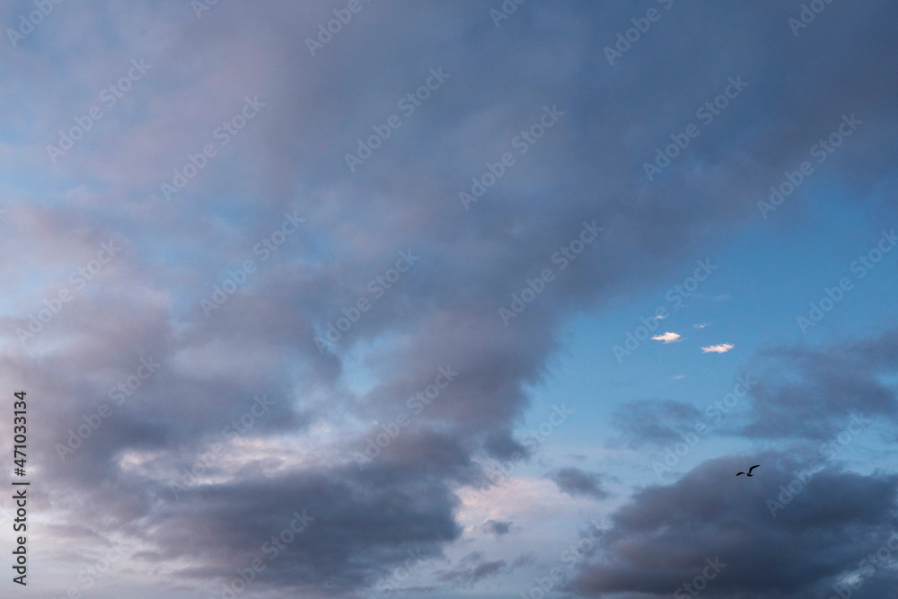 Blue cloudy sky with a small bright white clouds and a bird. Nature background